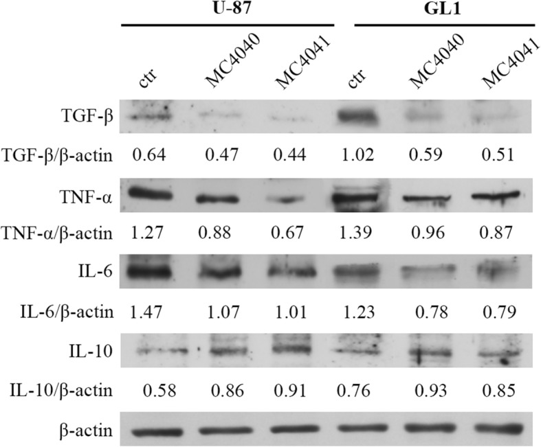 Fig. 10