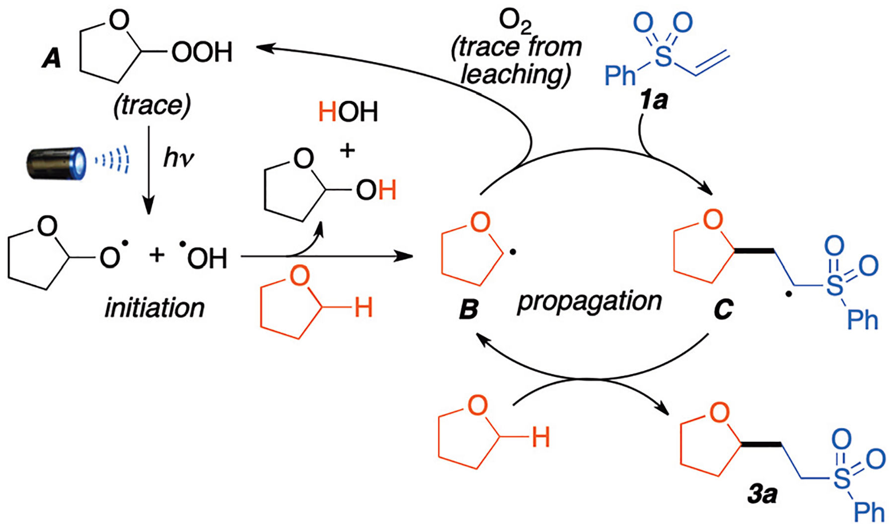 Scheme 6