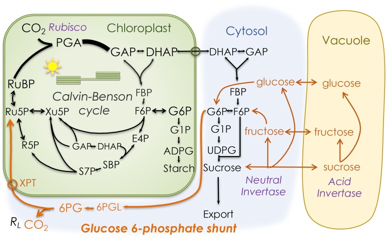 Figure 6.