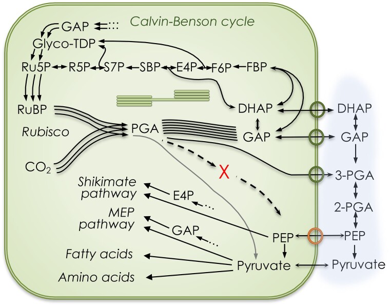 Figure 5.