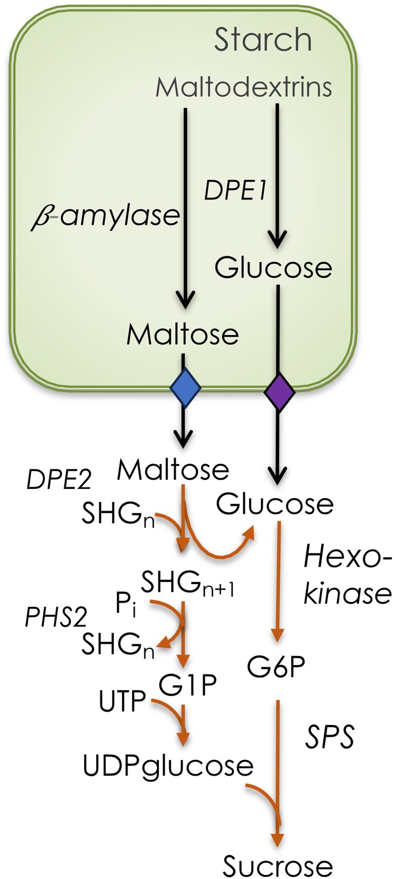 Figure 3.