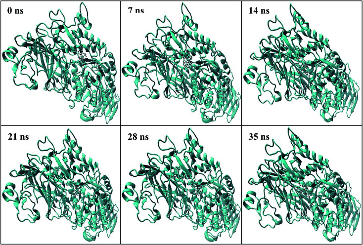 Fig. 7