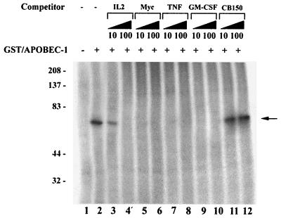 FIG. 6