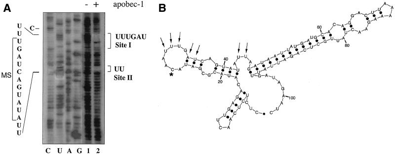 FIG. 7