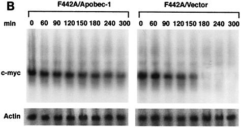 FIG. 8