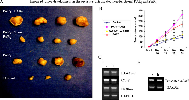 Fig. 6