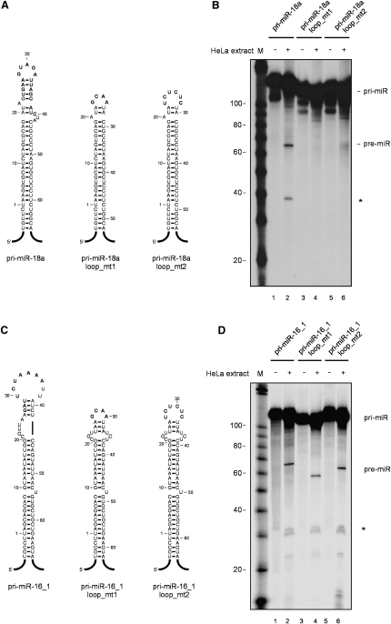 Figure 6