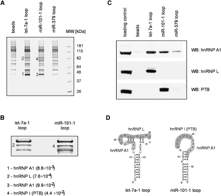 Figure 5