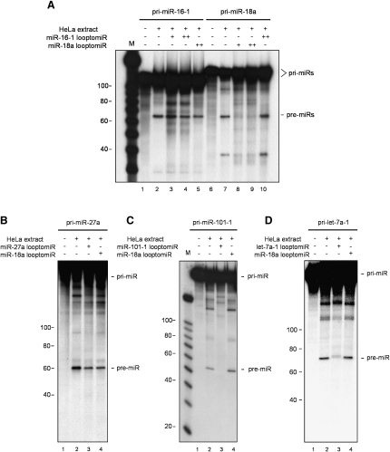 Figure 4