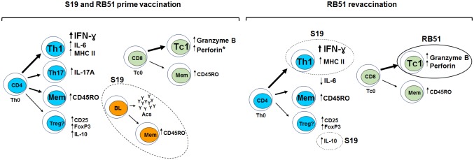 Fig 9