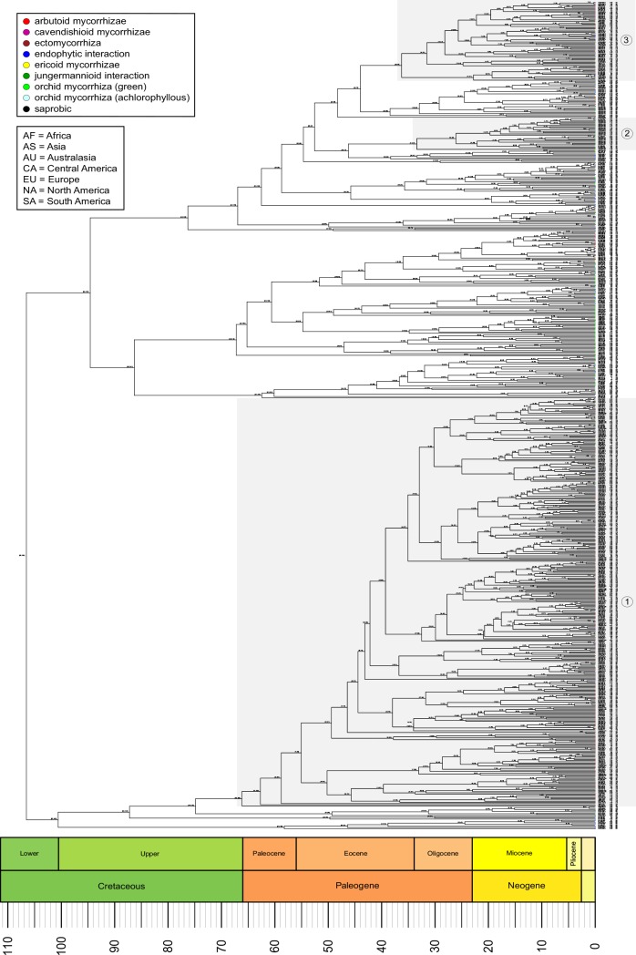 Fig 2