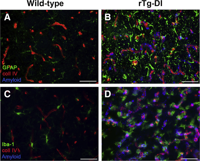 Figure 5