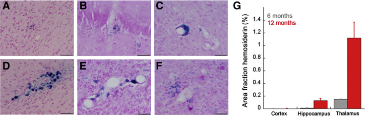 Figure 6