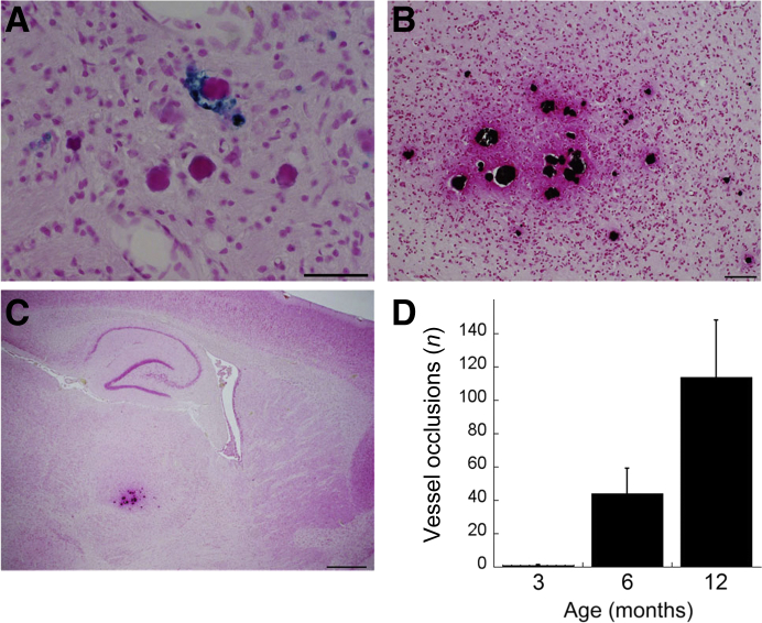 Figure 7