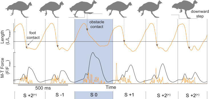 Figure 2—figure supplement 1.