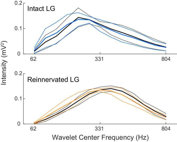 Figure 5—figure supplement 1.