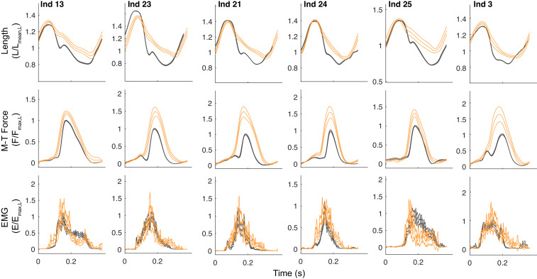 Figure 7—figure supplement 1.