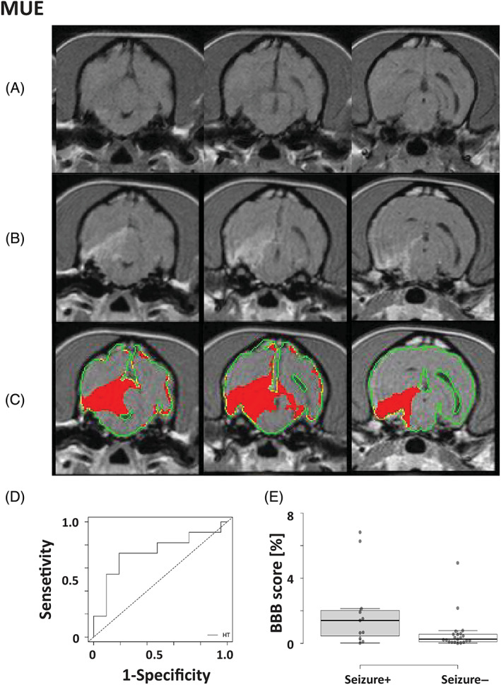 FIGURE 3