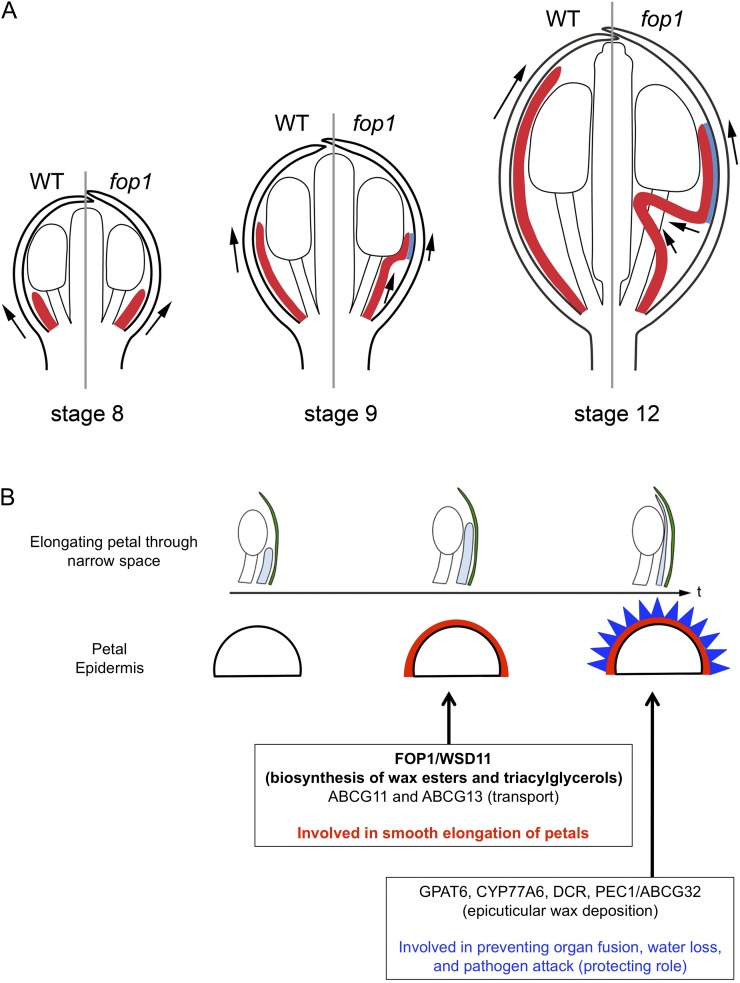 Figure 5.