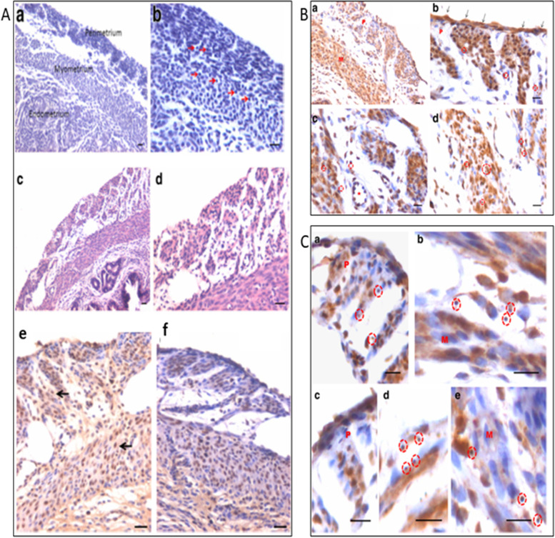 Fig. 17