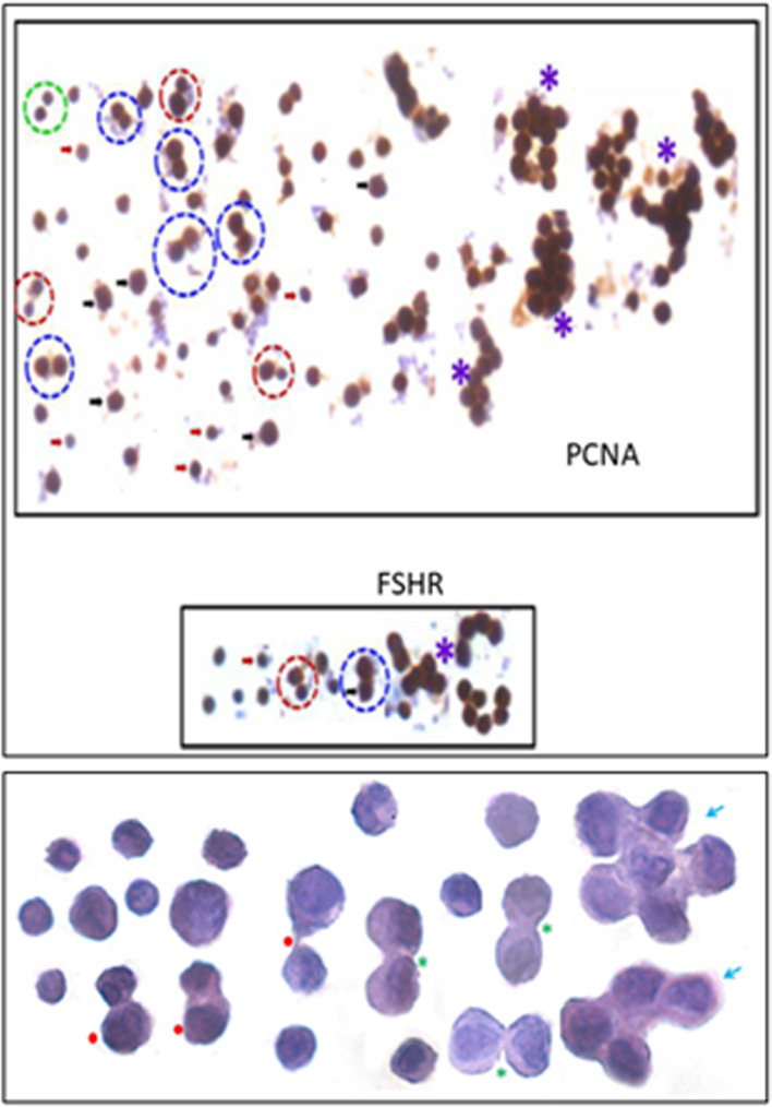 Fig. 22