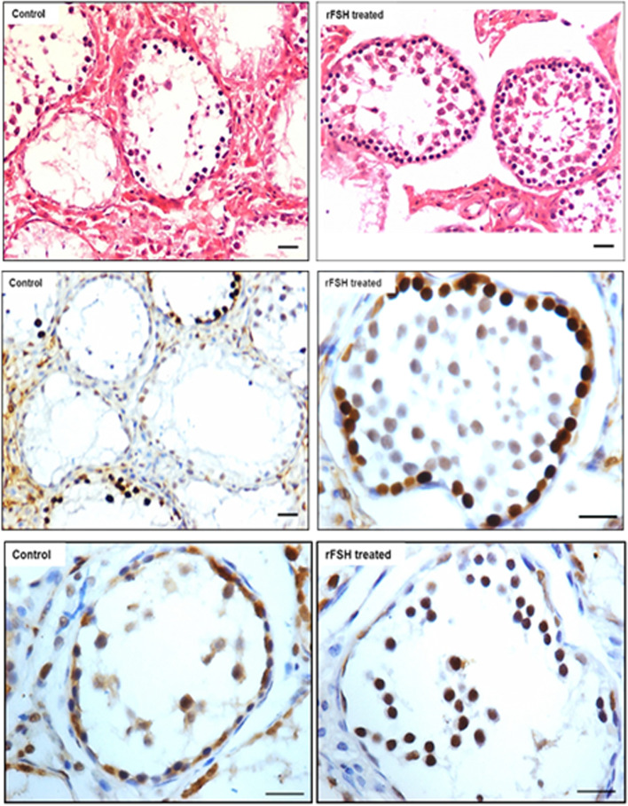 Fig. 10