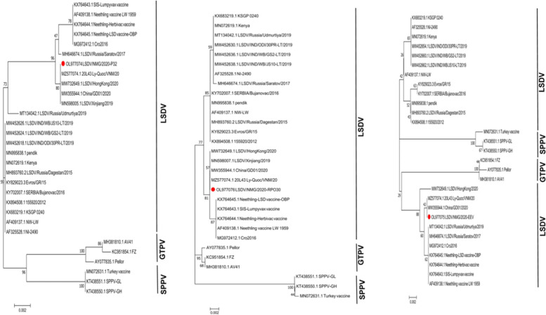 Fig. 3