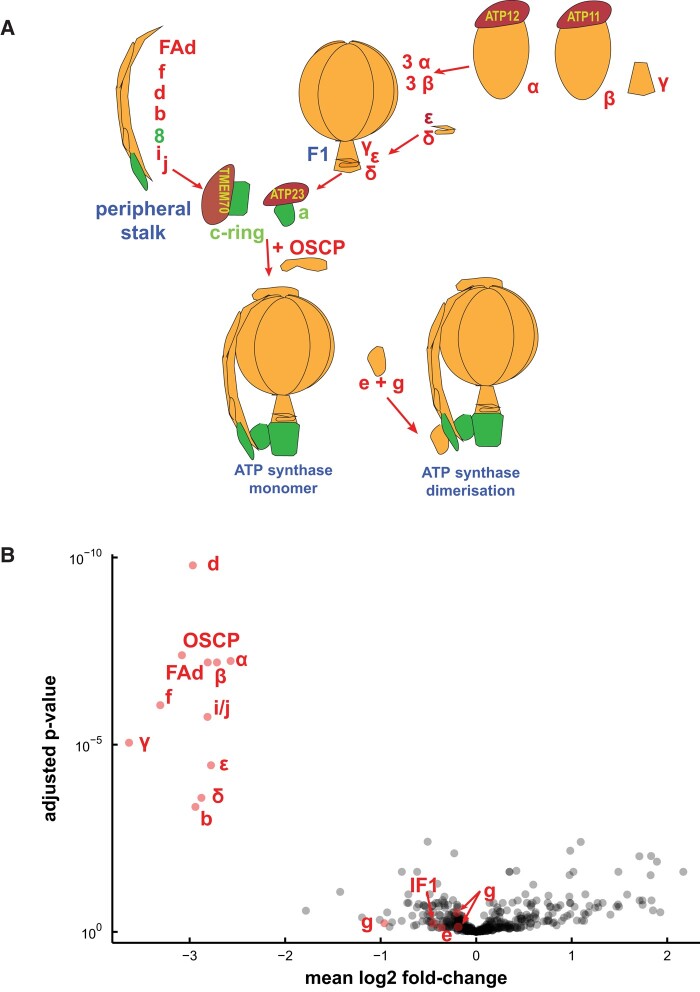 Figure 6.