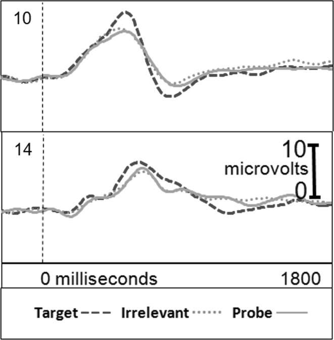 Fig. 8