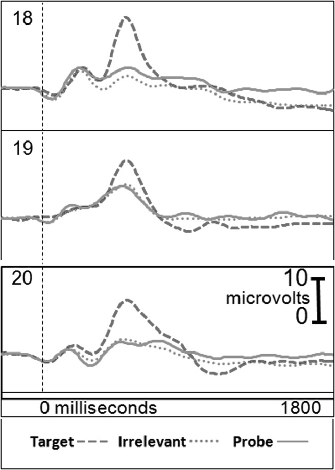 Fig. 2