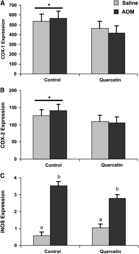 FIGURE 3 