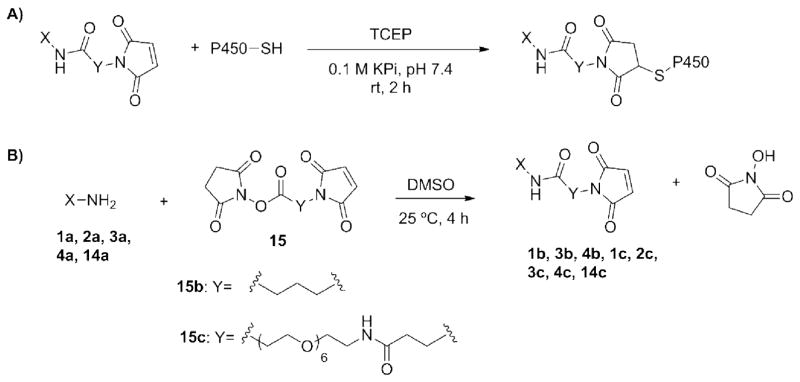 Scheme 1