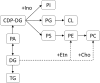 Fig 7