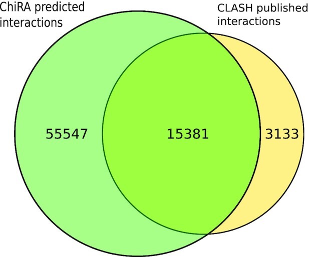 Figure 6: