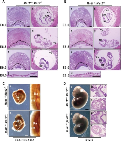 FIG. 7.