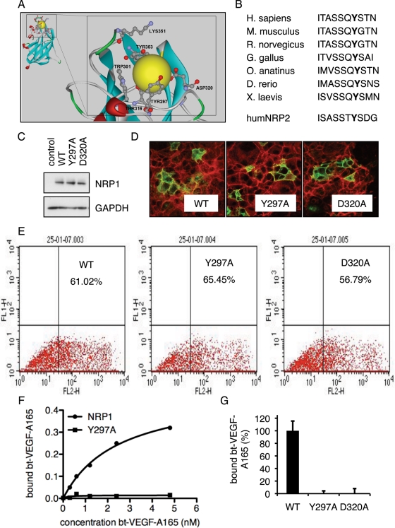 FIGURE 1: