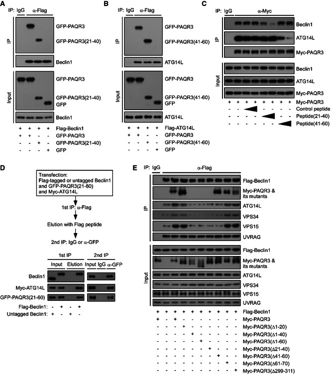 Figure EV3