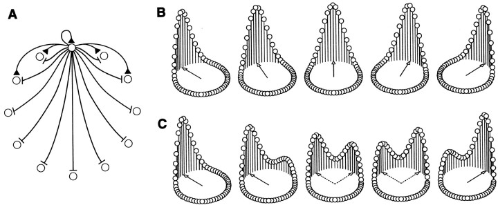 Fig. 4.