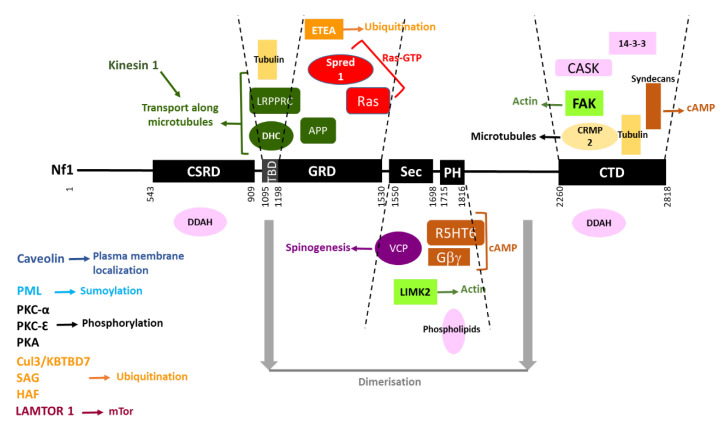 Figure 14