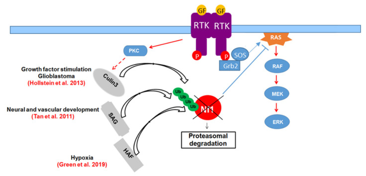 Figure 16