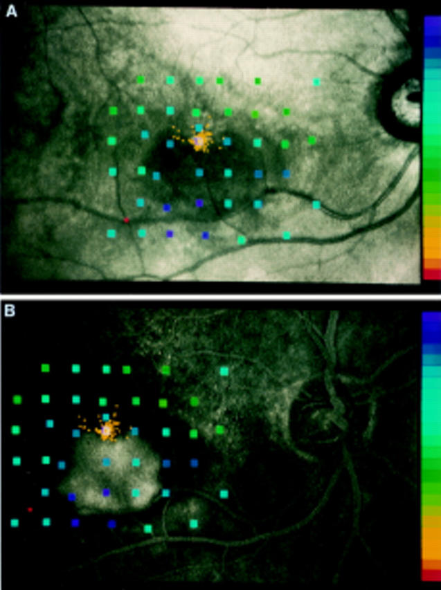 Figure 2  