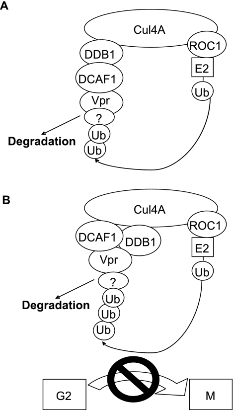 FIG. 5.