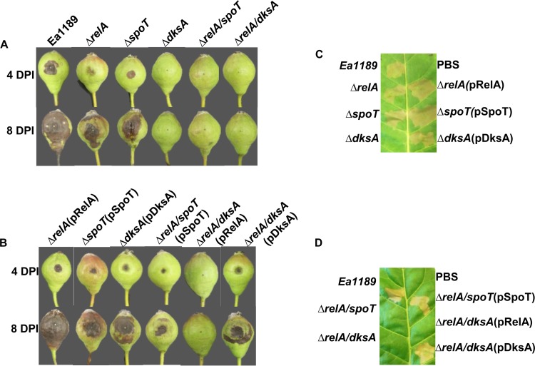 FIG 4