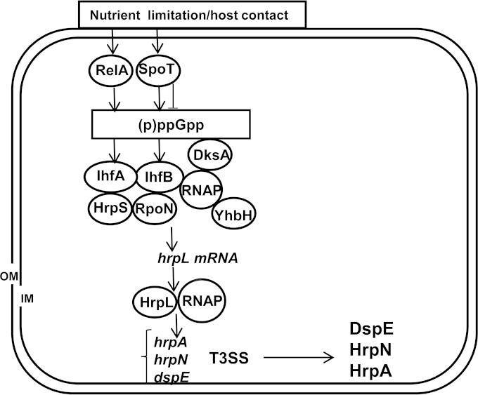 FIG 8