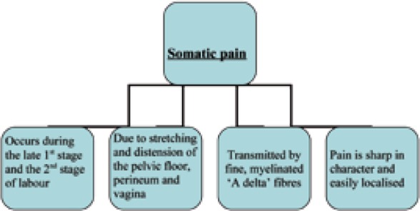 Figure 2b