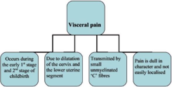 Figure 2a