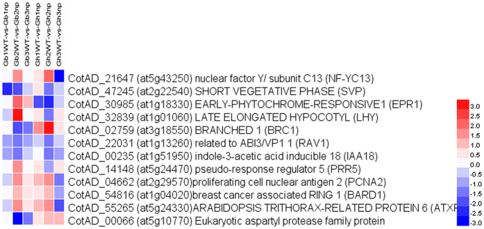 Figure 7