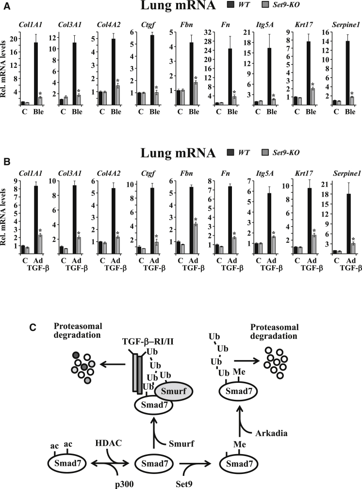 Figure 6