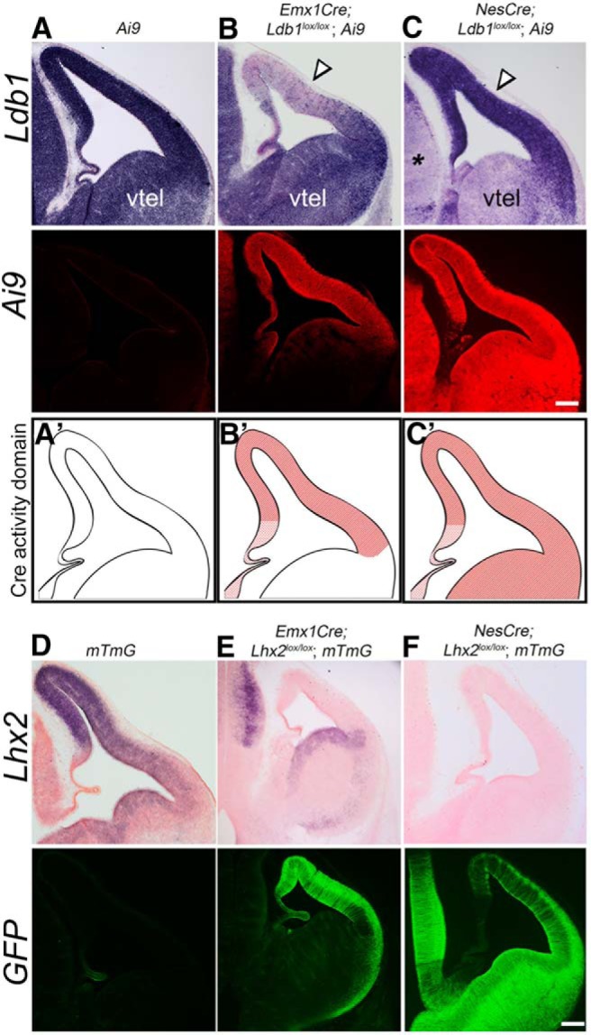 Figure 2.