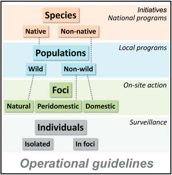 A four-level hierarchical classification of triatomines and its relationship
with hierarchically-structured vector control-surveillance strategies (in
italics); the outer black rectangle stresses the crucial, overarching role of
local operational guidelines.